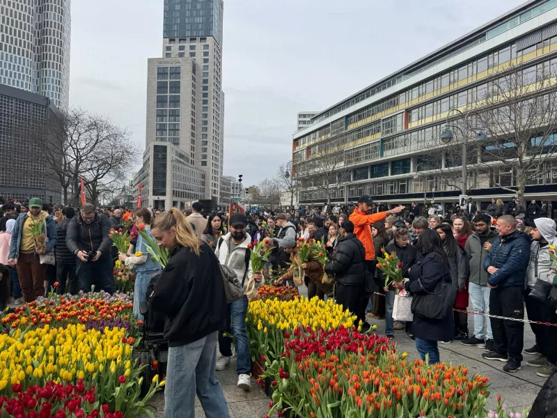 WhatsApp Image 2026-03-14 at 15.52.241773504563.webp